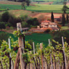 BELLA ITALIA
