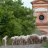 BELLA ITALIA