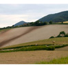 CARDS