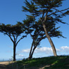 COASTS